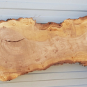Poplar Wood